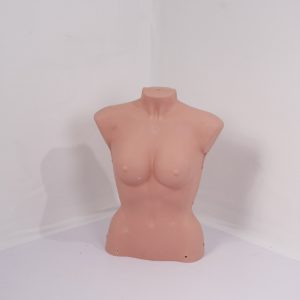 Nalga de mujer corta Color Carne